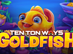 ٹین ٹون ویز گولڈ فش game thumbnail